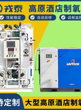 PSA变压吸附高纯制氧机高原酒店民宿工业化工臭氧发生器制氧设备
