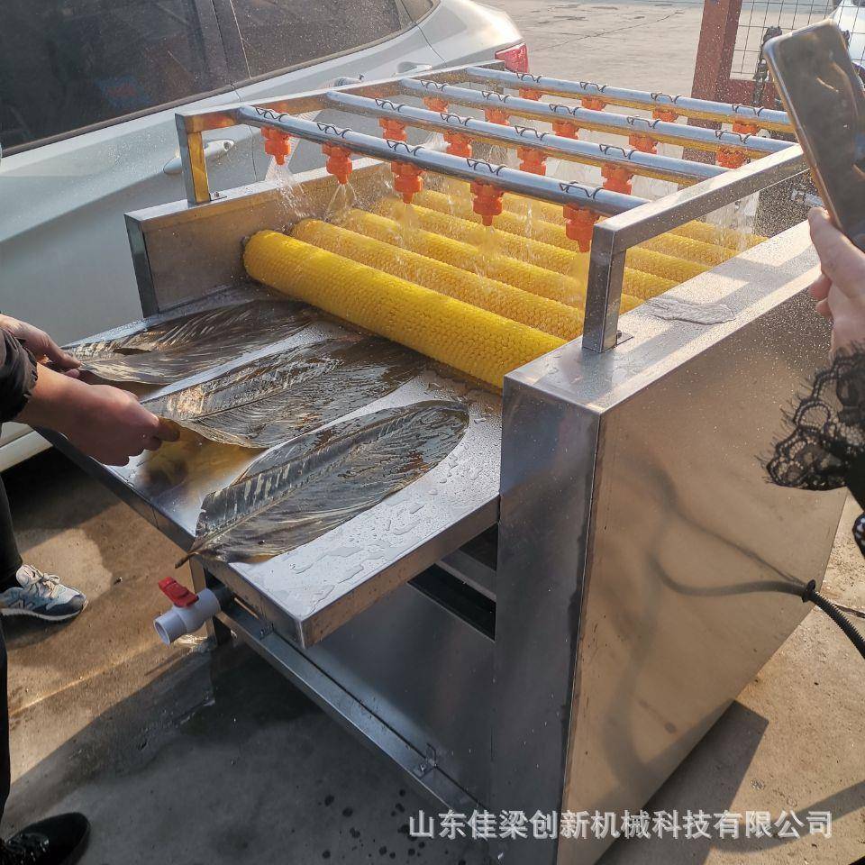 棕叶清洗机商用芦苇叶毛辊芭蕉叶喷淋试清洗设备鲜果果蔬高效