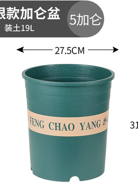 绿萝水培批发花盆塑料小大花瓶