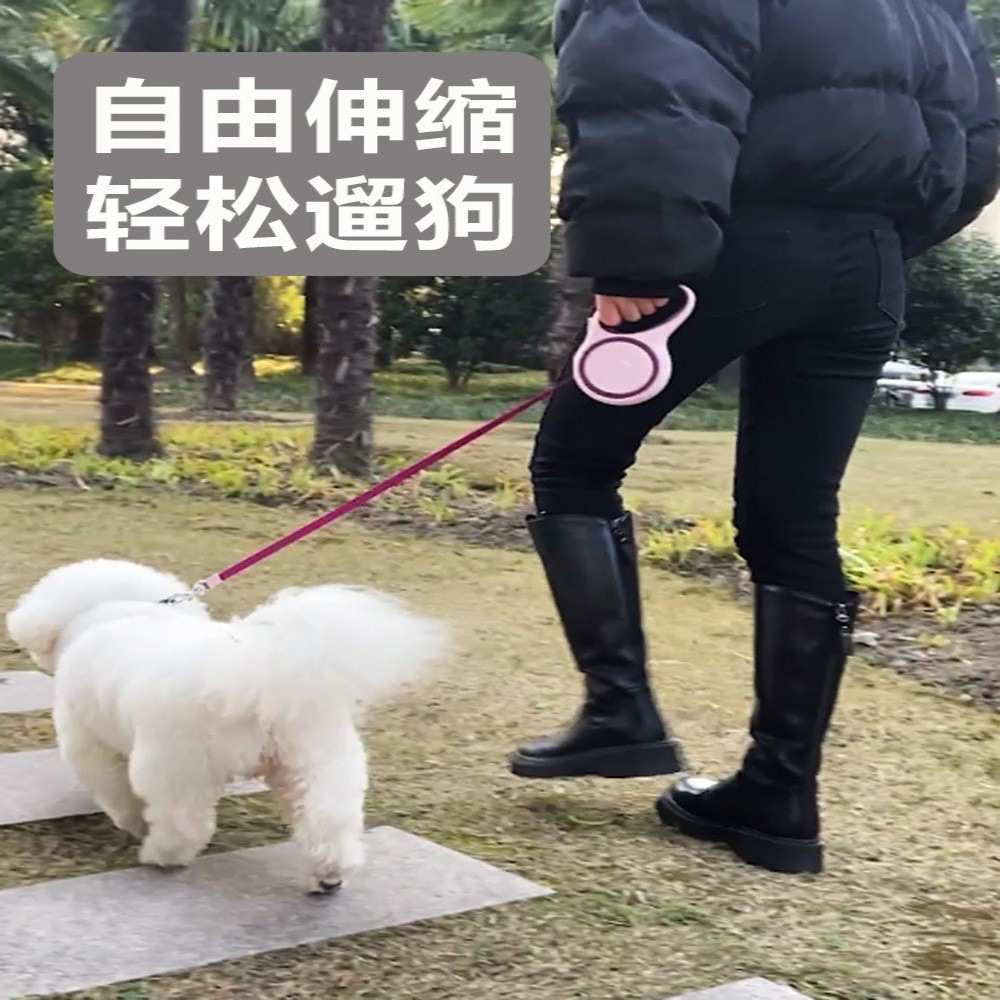 自动迪伸缩绳子中小型宠物绳犬狗绳狗泰遛狗狗牵牵引绳链收缩狗狗