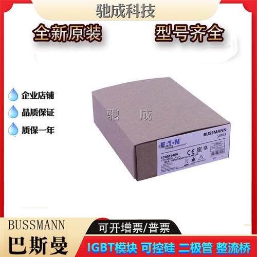 巴斯曼170M1465 170M1466 170M1467 低压保险丝诚信经营货源充足