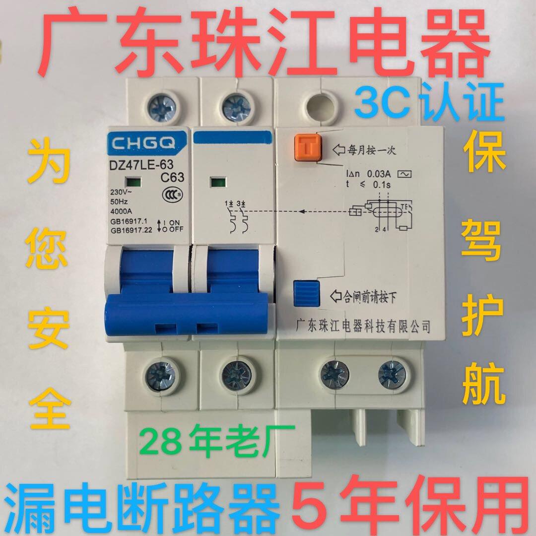 广东珠江漏电保护器双DZ47LE升级款家用总开2P63A空气开关断路器