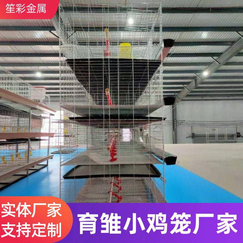 H型育雏小鸡笼养殖场农场大棚养殖繁殖畜牧含粪盘食槽设备鸡笼