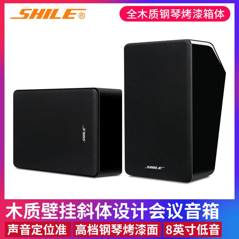 狮乐BG-8会议音响壁挂8英寸倾斜式音箱培训会议室家用卡拉OK音箱