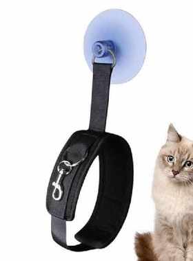 Suction Cup Hooks For Pet Tether Straps Leash Attaching Dog