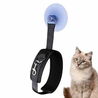 Suction Cup Hooks For Pet Tether Straps Leash Attaching Dog