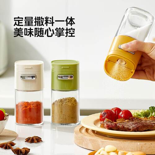 2-in-1 Seasoning Container for Home Kitchen, Divided Spice B
