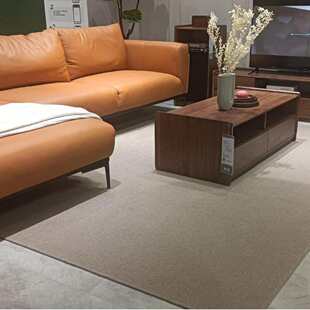 客厅轻奢高级进口羊毛地毯素色沙发茶几毯卧室地垫耐脏厚大宅标配