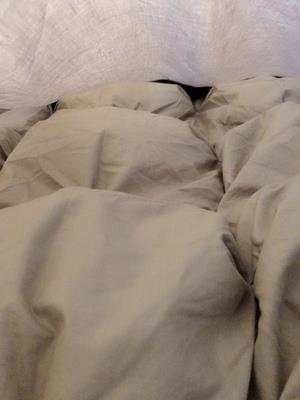 洛感珍羽绒被到底好不好？来听听大家的心得？