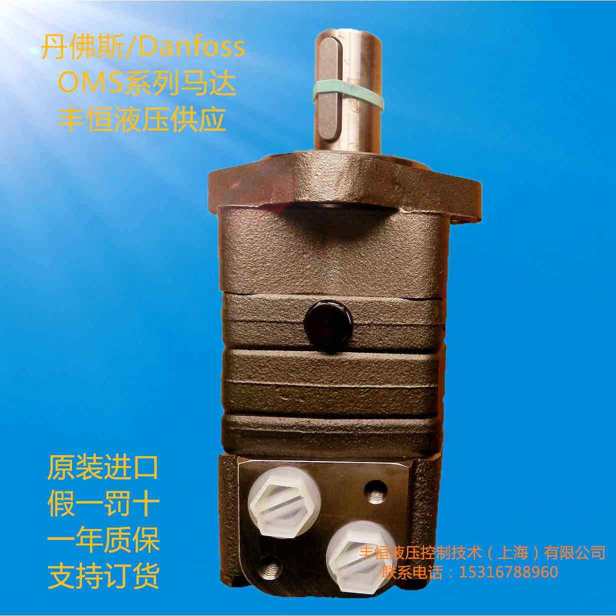 萨奥大扭矩液压马达行走OMS250液压旋转马达起网机