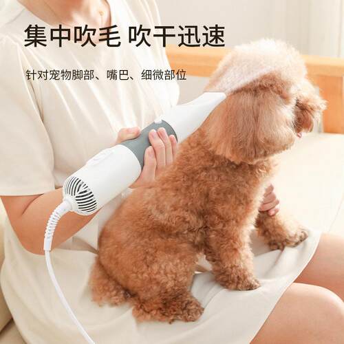 Aeolus大风力宠物除毛吹风梳 电动热风拉毛美容工具