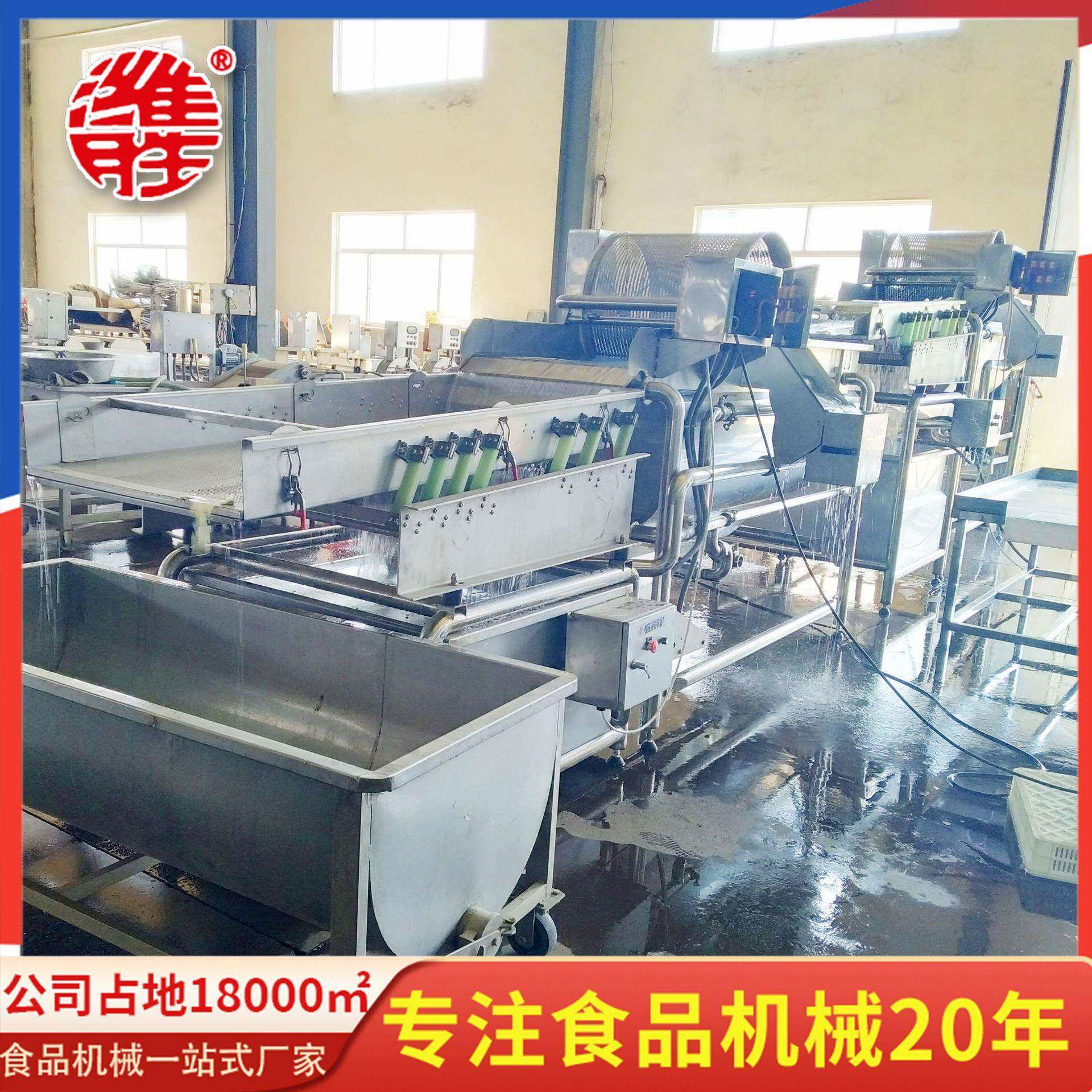不锈钢净菜自动清洗机设备白菜块芹菜段漂浮物物料清洗去杂