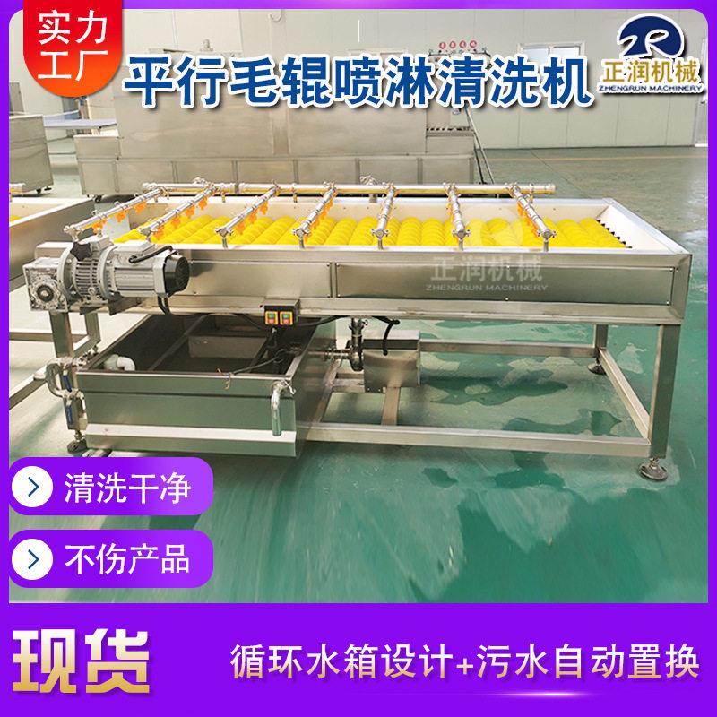 加工生产材清洗机毛刷喷淋式三七清洗机商用黄芪清洗流水线