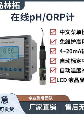 在线PH/ORP计 同一界面显示pH（ORP）值和温度值
