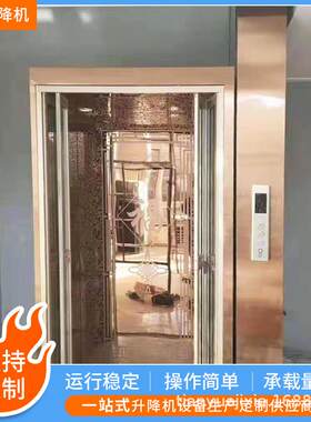 小区住宅电梯复式楼房自建房电梯二三层静音别墅电梯济南