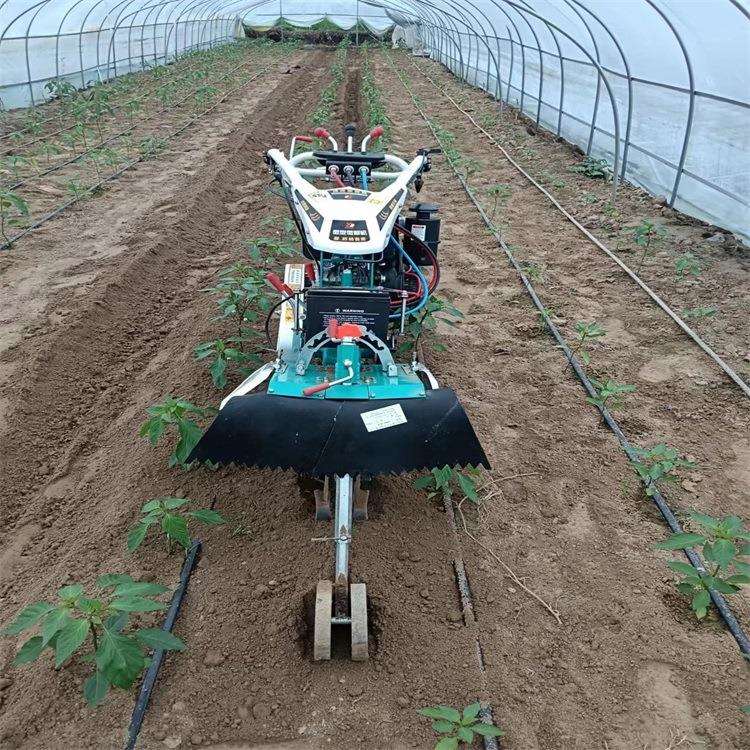农用工具开沟施肥种菜耘锄家用 新款除草神器手推轮式松土锄草锄