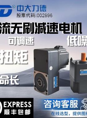 ZD中大24V220V直流无刷减速电机微型48V恒扭矩无刷马达减速马达