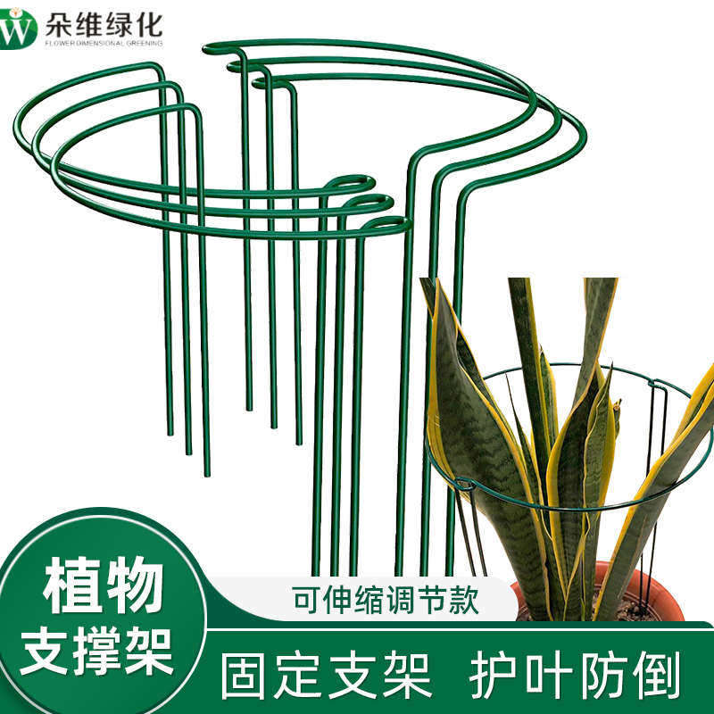 蟹爪兰花架子绣球铁艺花架藤架植物撑杆固定支撑杆爬藤架护叶支