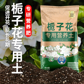 种栀子花专用土营养土栀子花，肥料专用肥，通用桅子花土壤泥土种植土