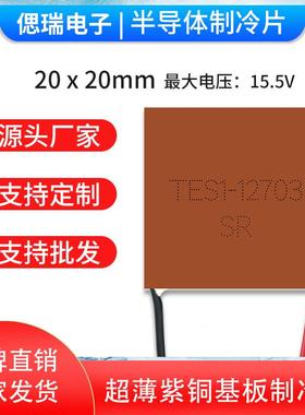紫铜微型精密通信仪器设备散热 TES1-12703 20*20半导体制冷片12V