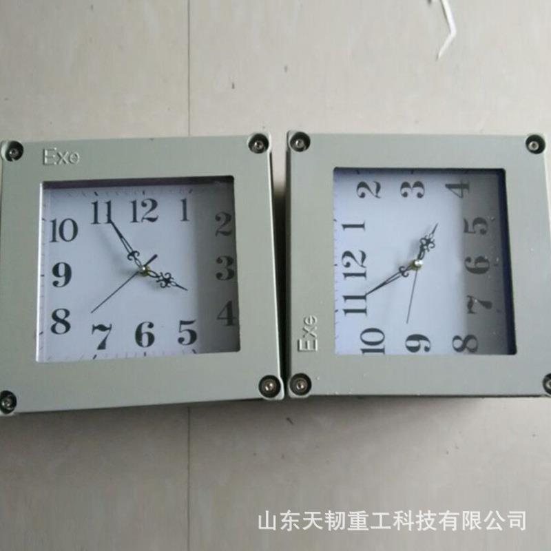 防爆石英钟 方形防爆钟 BSZ指针式防爆石英钟防爆挂钟