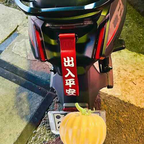 适用于 于九号电动车改装装饰配件B30cA30cC90E10推车绳个性潮流