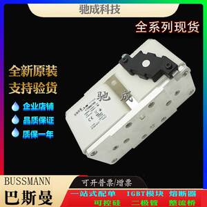 巴斯曼170M6787 170M6788 170M6789 厂家供货价格优惠 快熔保险丝
