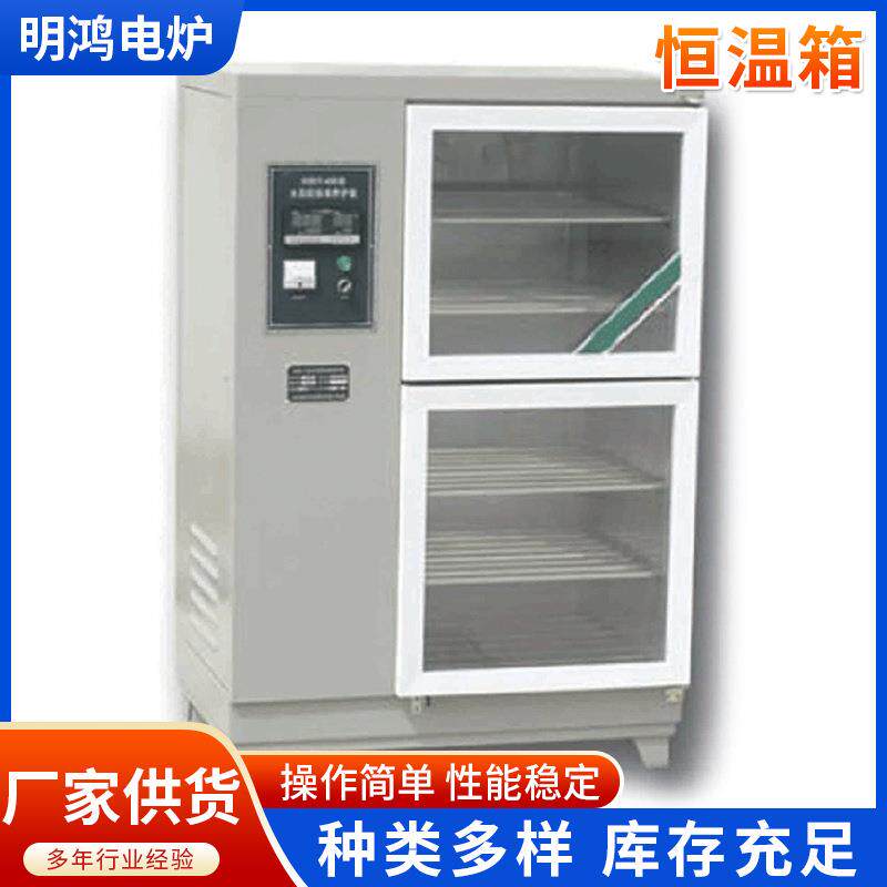 工业烤箱控温烘烤箱热风恒温烤箱自动控温烘干炉电热鼓风干燥箱