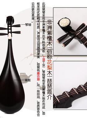 高档专业花梨木成琵人琶童儿青中号年琴喜木乐器初学入门考级厂家