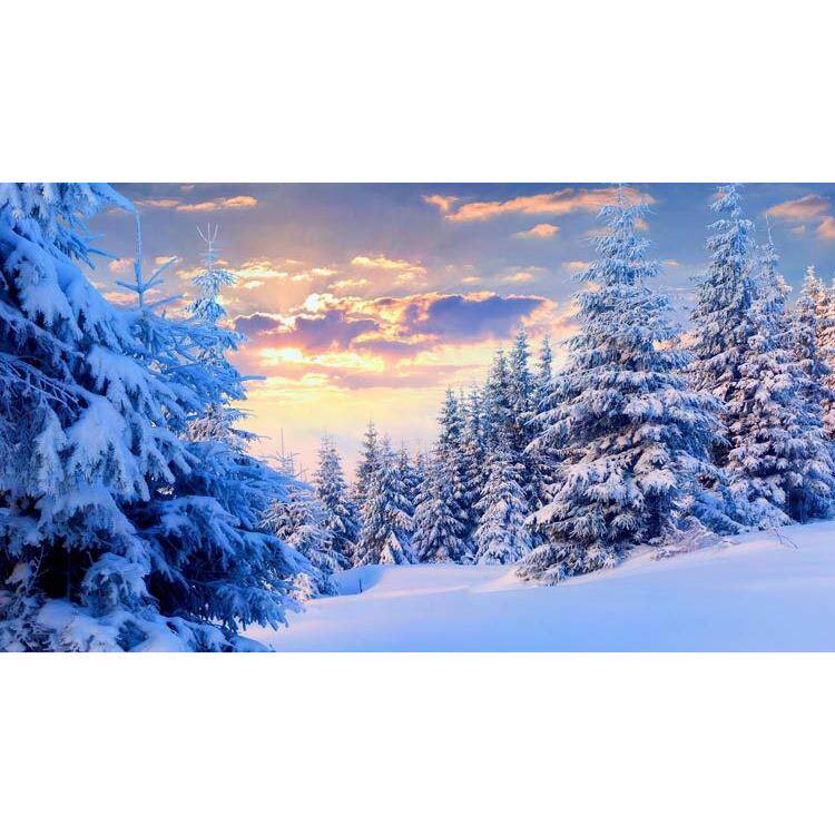 20装饰画贴图海报 雪景大雪风景美图自然景观 白色雪花贴图壁纸