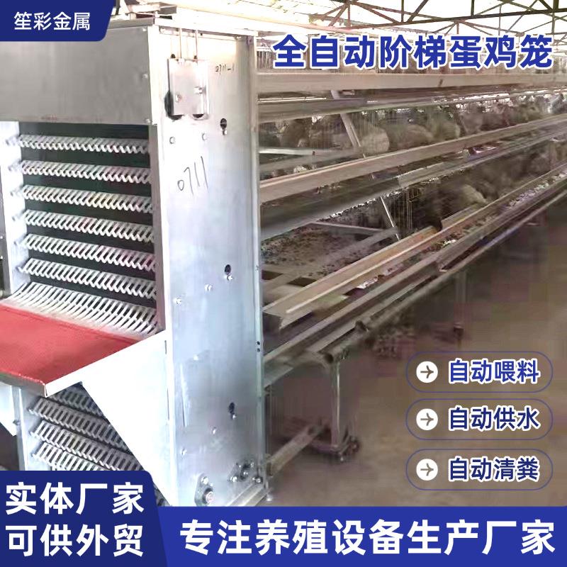 A字型阶梯式组装鸡笼三层四层阶梯自动化机械畜牧设备养殖蛋鸡笼