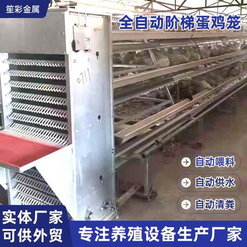 A字型阶梯式组装鸡笼三层四层阶梯自动化机械畜牧设备养殖蛋鸡笼