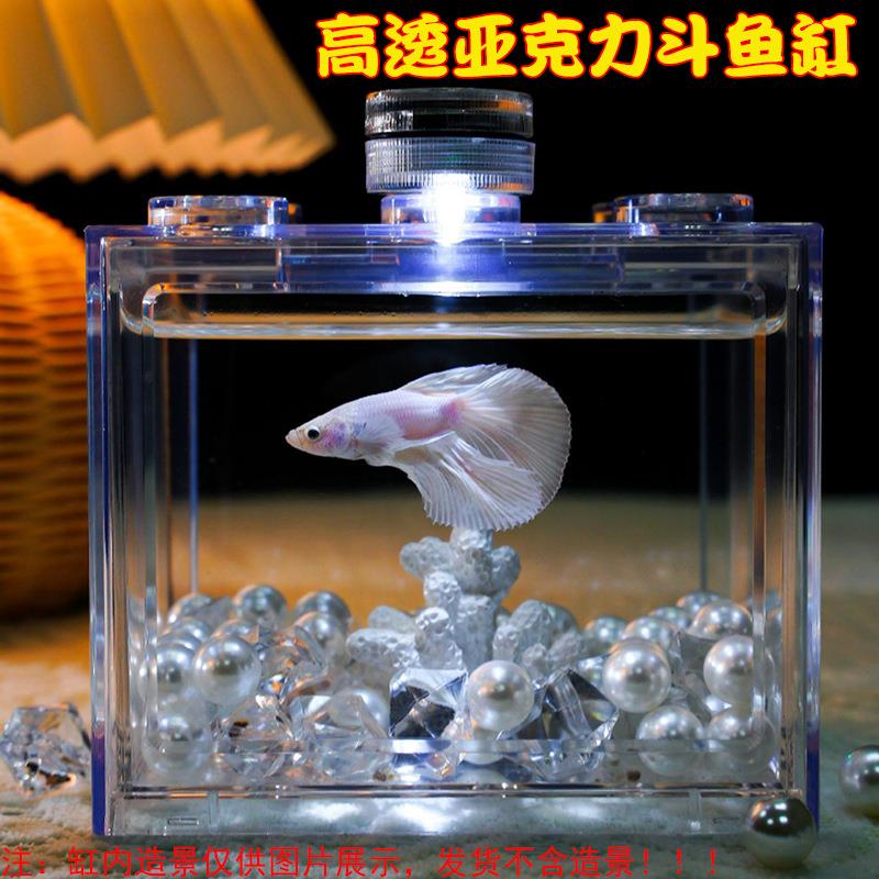 桌面积木泰国斗鱼缸小型造景办公室生态盒透明亚克力观赏鱼缸专用