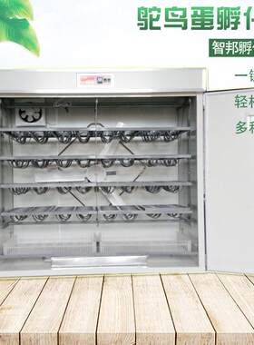 定制全自动智能鸵鸟种蛋孵化机器鸸鹋孵化箱孵化器孵蛋器