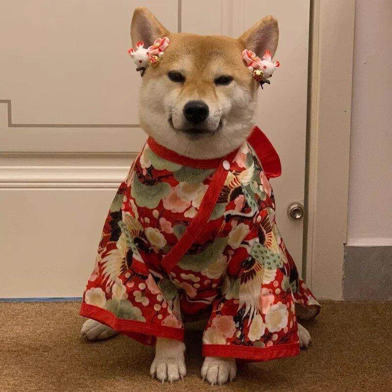 柴犬专用衣服日式和服风八嘎狗狗猫咪防掉毛小型犬薄款衣网红搞笑