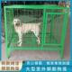狗笼子大型犬实心钢筋狗笼角铁焊接加粗加固大狗笼养狗场专用狗笼
