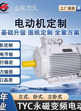TYC三相永磁电机200/300v无极调速铸铁长轴电机山东力久源头厂家