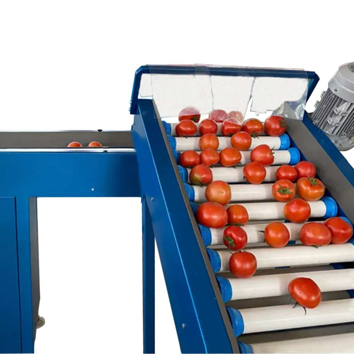 动态选机处理水果 称释迦分拣机果 机分重选南瓜贝贝无损分级机果