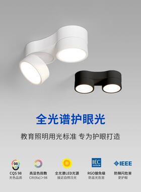 明装筒灯散光led天花灯双头斗胆灯可调角度射灯免开孔无主灯照明