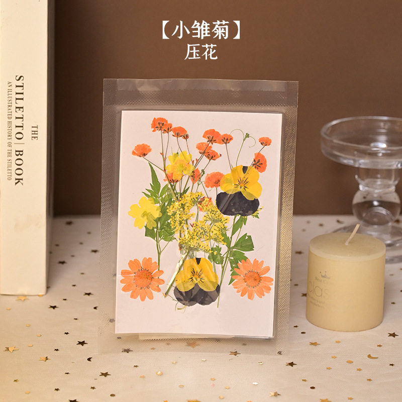 树叶粘贴画枫叶幼儿园标本手工diy梧桐叶银杏叶压花植物书签叶子,家居饰品,餐桌花艺,淘宝优惠券,粉丝福利购,淘宝优惠卷