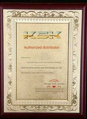 Tc 60*85*10*12*8 60*90*10*12*8 60*95*10 Ksk Nak氟橡胶骨架油