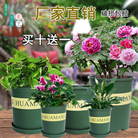 园艺花盆绿萝加仑盆1/1.5/2/3/5花满楼塑料花盆家庭种花养花花盆