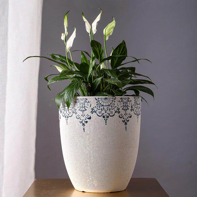 透气绣球花陶瓷花盆大号发财树红掌虎皮兰发财树室内外落地大花盆