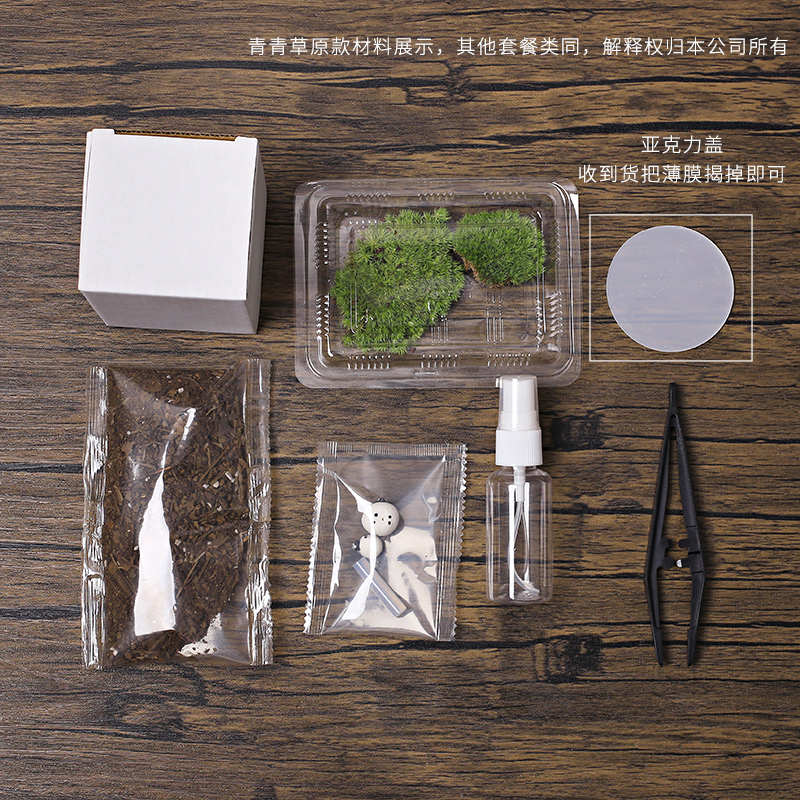 苔藓生态瓶闷养微景观 桌面直筒创意微缩苔藓摆件盆景懒人好养DIY
