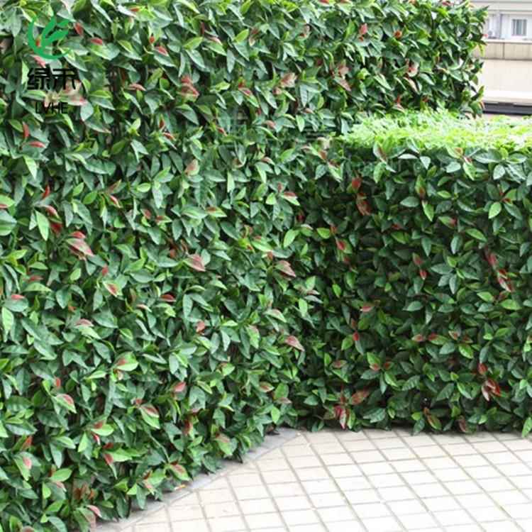 植物墙仿真草坪加密草坪人造绿植墙塑料假草坪背景壁挂装饰