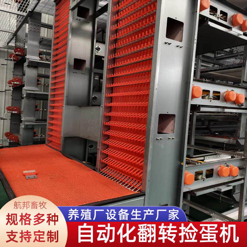 自动化翻转捡蛋养殖厂家蛋鸡集蛋捡蛋一体化翻转式捡蛋机设备