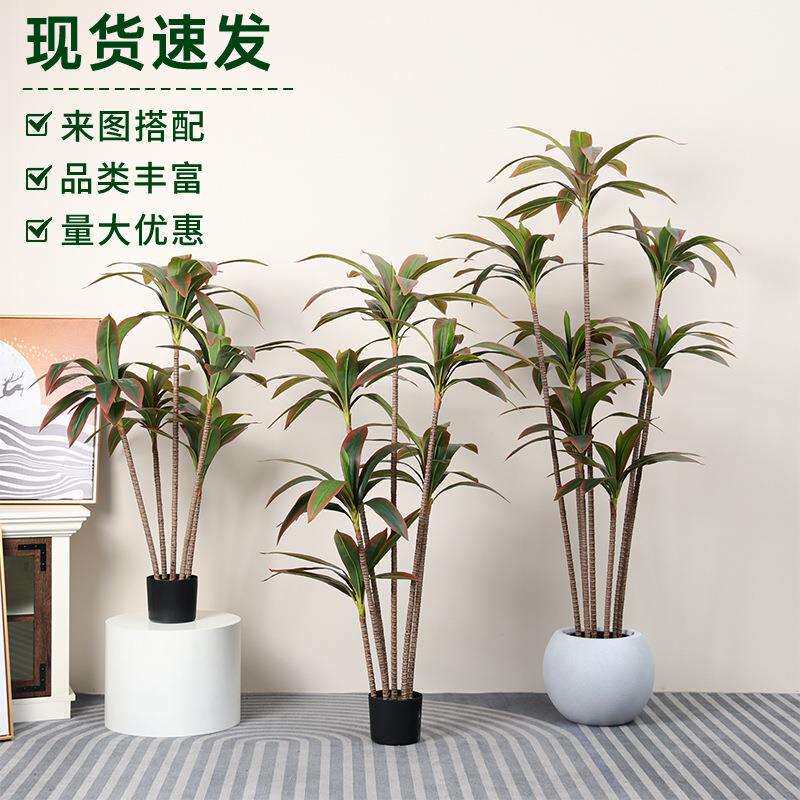亚马逊新款仿真绿植仿真红色巴西木巴西铁富贵叶仿真植物造景盆栽