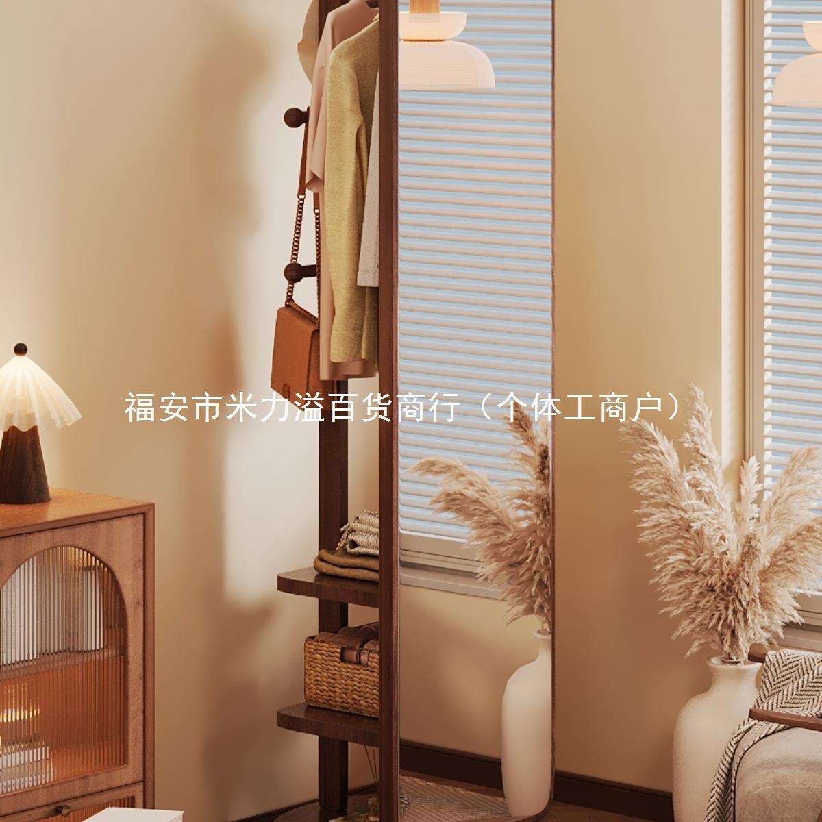 全身镜落地镜家用衣帽架一体穿衣镜可旋转移动女生卧室大试衣镜子