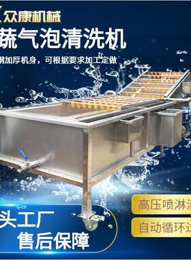 全自动大型果蔬气泡清洗机苹果叶菜去除农药残留多功能