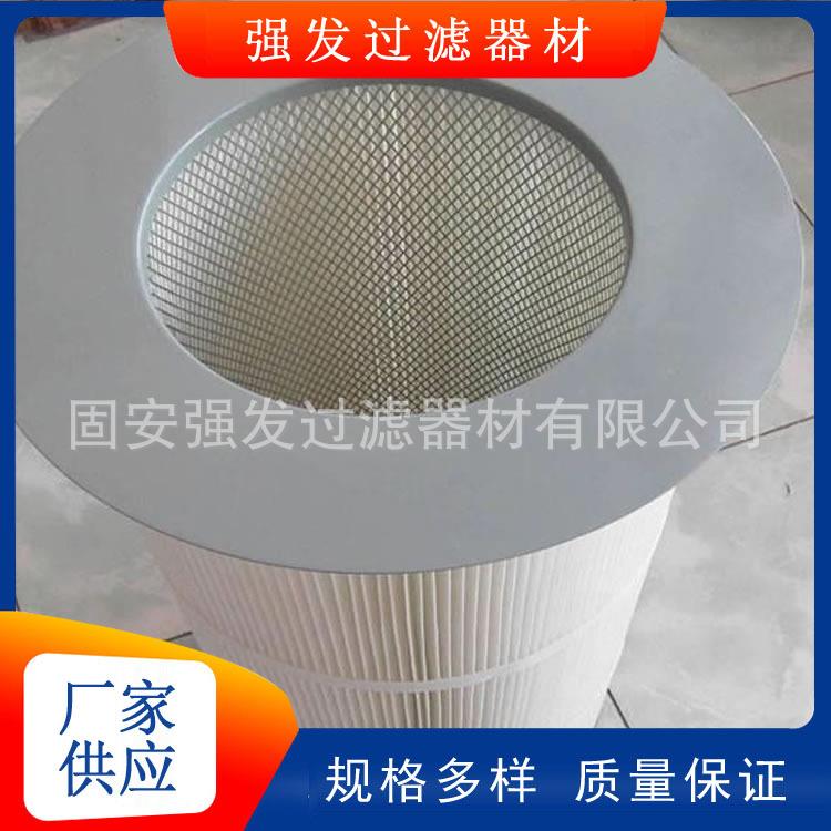 电厂除滤RGQ芯生产磨机除尘滤筒大现货过滤面量积打尘大